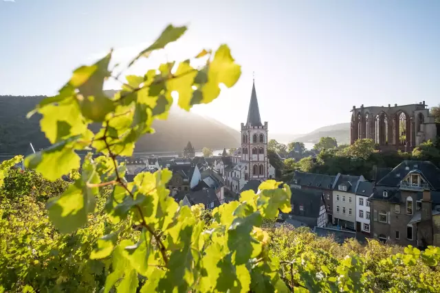 Blick auf Bacharach, Mittelrhein